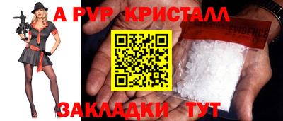 стафф Анжеро-Судженск