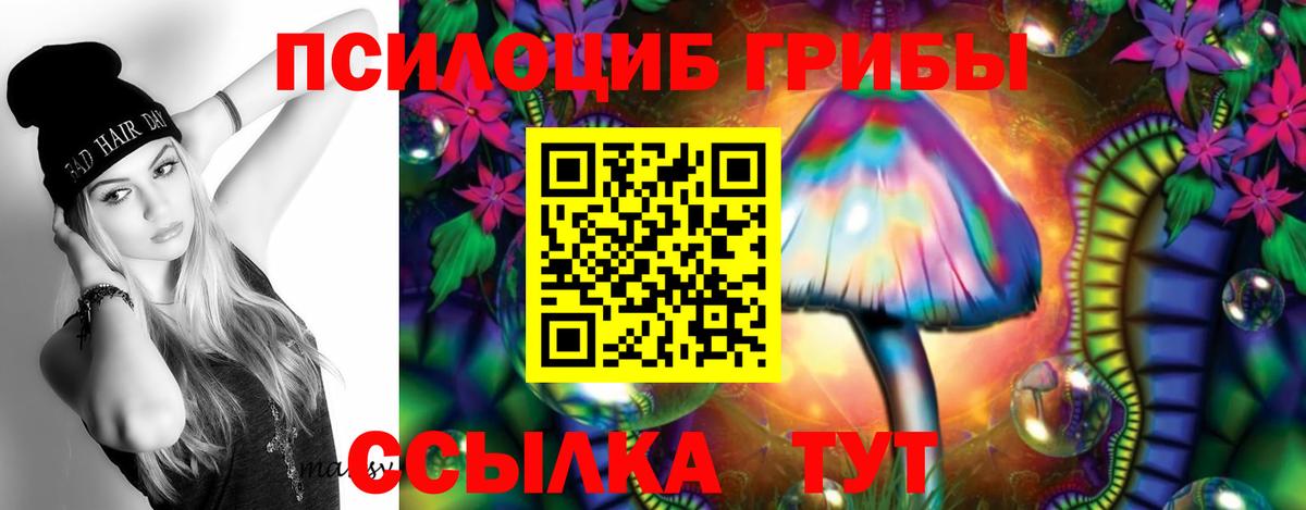 Галлюциногенные грибы Psilocybine cubensis  Вход с VPN  Троицк 